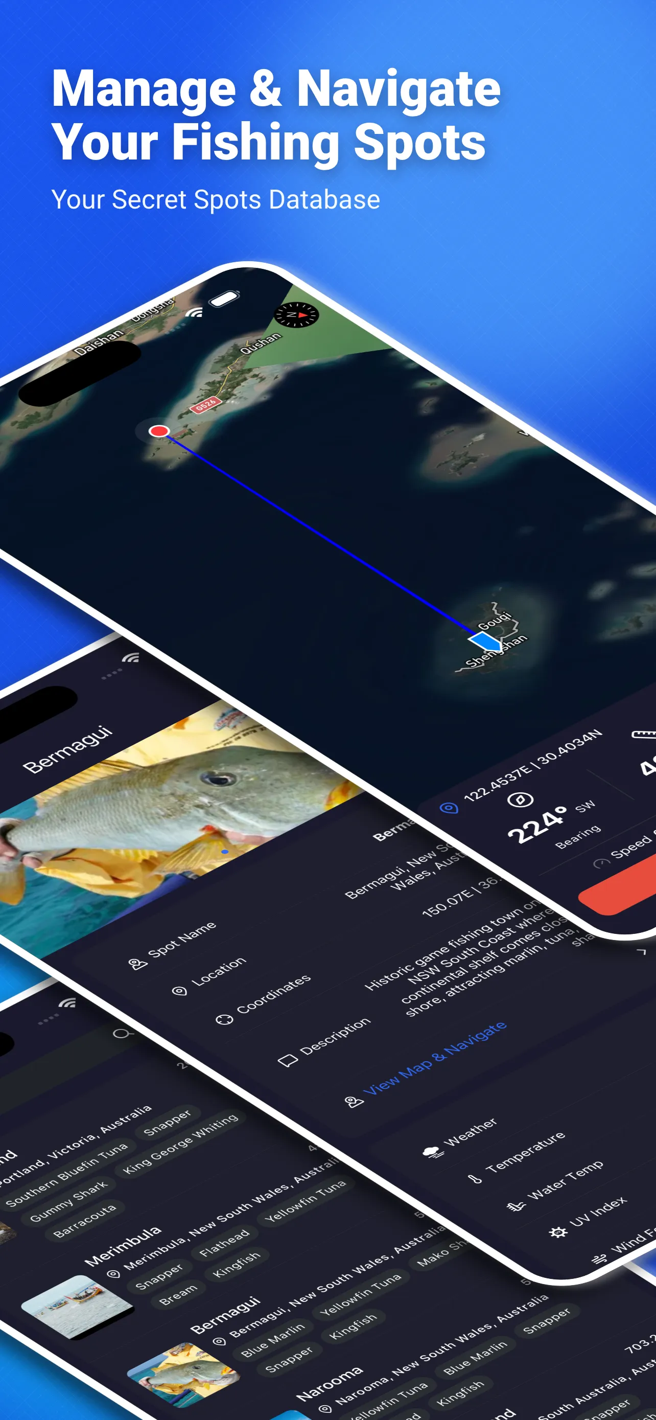 SunnyFish wind and wave forecast chart screenshot
